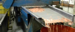 Scrap Metal Processing Twin Cities